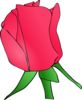 Pink Rose Bloom Clip Art